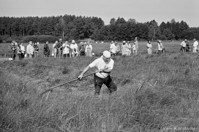 2c.Sporauski Scything Competition, Vysokaje 2016, 2016261-13A (00140013