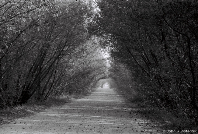 2c.Tunnel-of-Trees-Dubaj-Dubjenjets-Road-2018-2018278a_04A