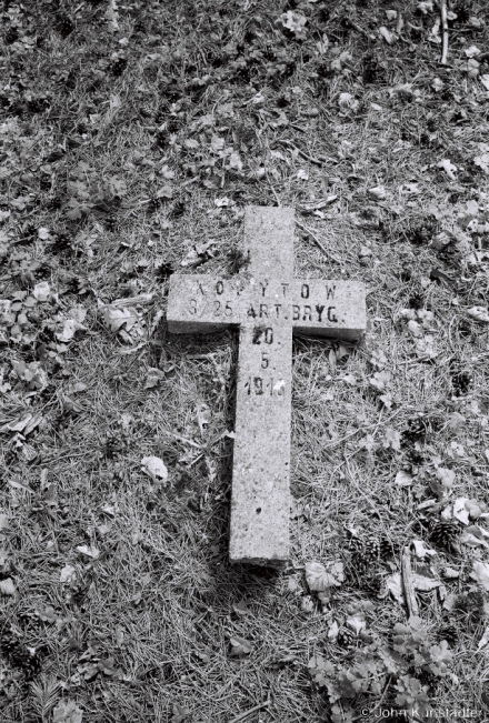 2c.WWI-Cemeteries-LXXV-German-Russian-WWI-Cemetery-Muljary-20182018091_21A