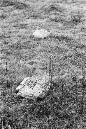 2c.World-War-I-Cemeteries-XXXII-German-Cemetery-Parechcha-Pinsk-District-2020-2020019-16A