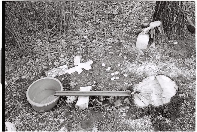 2d.Rhythms and Rites of Approaching Spring, Frozen Birch Sap, Tsjerablichy 2016, 2016086- (2) (000005