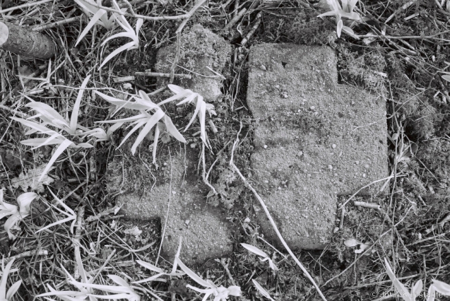 2d.World War I Cemeteries XV, German WWI Cemetery, Norkavichy 2017,2017094-0