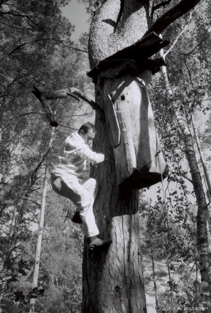 2d.Kaloda No. 1, Baranou Roh, Tsjerablichy Woods 2018, 2018254_04A