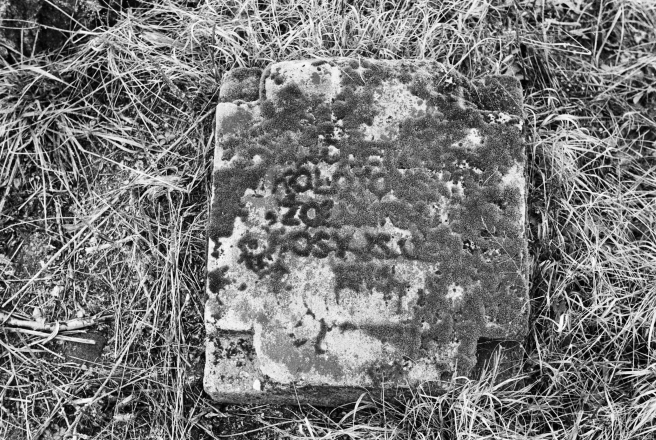 2d.World-War-I-Cemeteries-XXXII-German-Cemetery-Parechcha-Pinsk-District-2020-2020019-1A