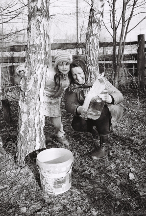 2e.Rhythms and Rites of Approaching Spring, Vjerka and Chesa Collecting Frozen Birch Sap, Tsjerablichy 2016, 2016082b- (000066