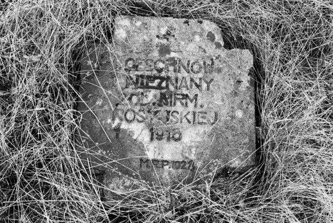2e.World-War-I-Cemeteries-XXXII-German-Cemetery-Parechcha-Pinsk-District-2020-2020019-3A