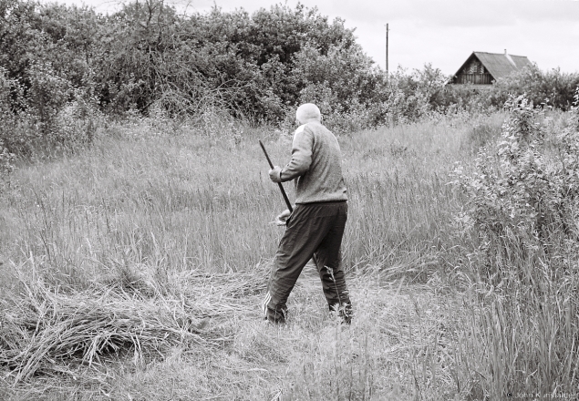 2f.Scything, Polkhava 2017, 2017150-19A (000053