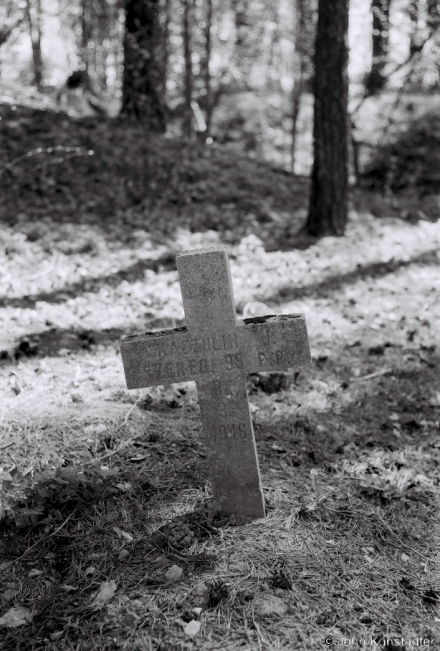 2f.WWI-Cemeteries-LXXV-German-Russian-WWI-Cemetery-Muljary-2018-2018090a_15