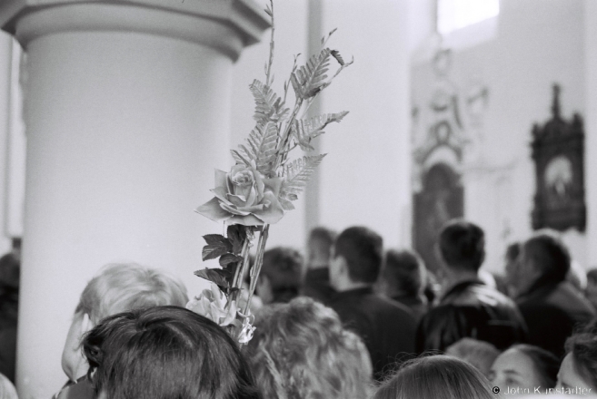 2g.Palm Sunday Mass, Iuje 2017, 2017049- (F1040001