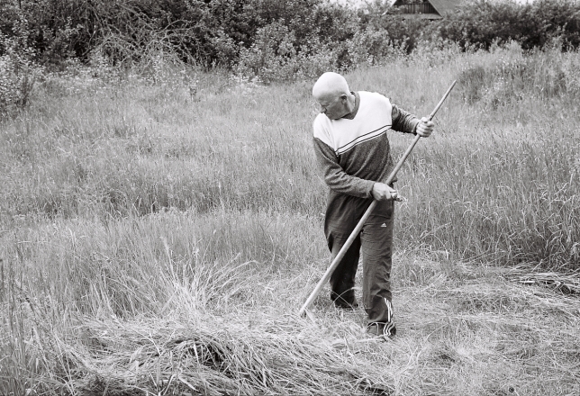 2g.Scything, Polkhava 2017, 2017150-22A (000056