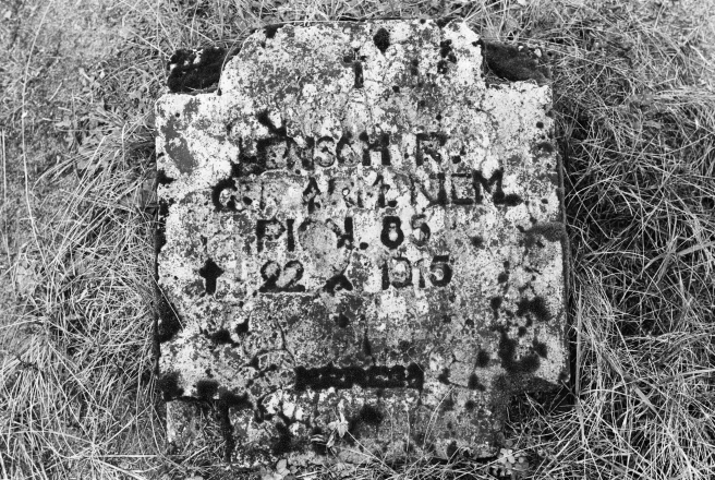 2g.World-War-I-Cemeteries-XXXII-German-Cemetery-Parechcha-Pinsk-District-2020-2020019-6A