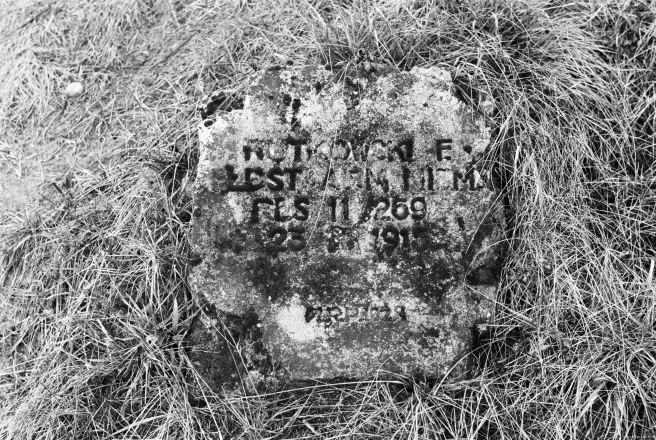 2h.World-War-I-Cemeteries-XXXII-German-Cemetery-Parechcha-Pinsk-District-2020-2020019-9A