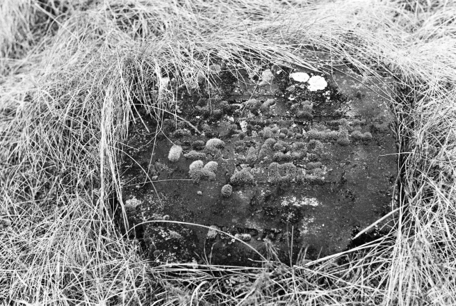 2j.World-War-I-Cemeteries-XXXII-German-Cemetery-Parechcha-Pinsk-District-2020-2020019-13A