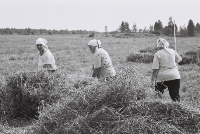 3-first-haying-tsjerablichy-meadows-2012-2012197-f1020020