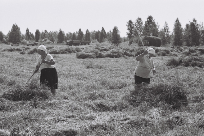 3-first-haying-tsjerablichy-meadows-2012-2012197-f1020030