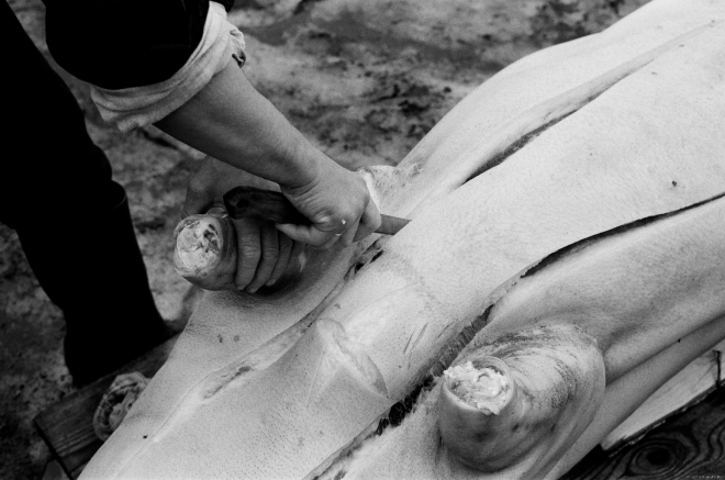 3-hog-butchering-201128