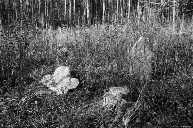 Stone-Cross Tombstones, Babtsy Cemetery 2014, 2014398-5A