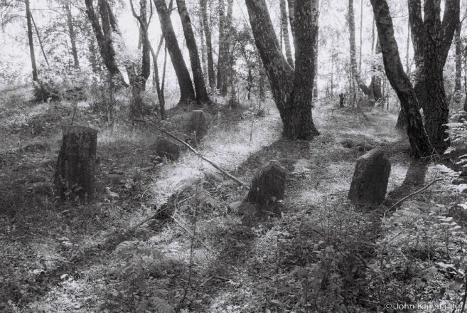3.Old Believers' Cemetery nr. Kryvasjel'tsy 2016, 2016242- (F1100026