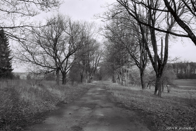 Allee, Marachoushchyna 2015, F1010021(2015119-