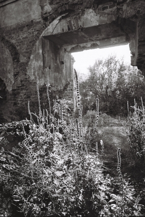 3.Churches of Belarus CXC, Ruins of Franciscan Church, Ashmjany 2015, 2015346-09 (000041