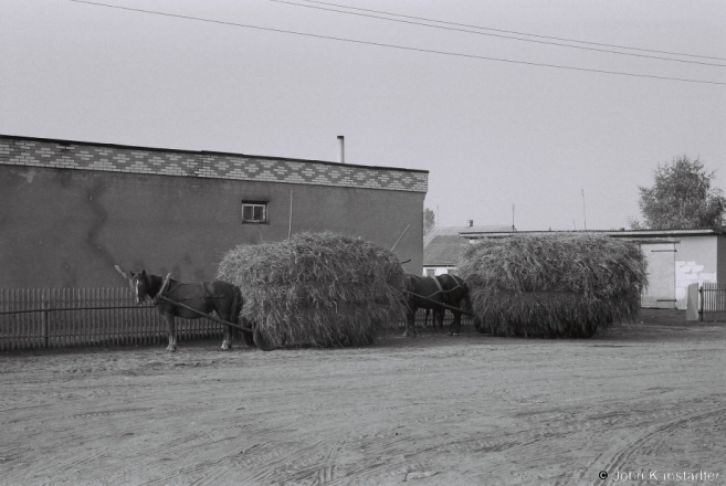 Last Hay before Pakrou, Rubjel' 2014, F1170003(2014377a-