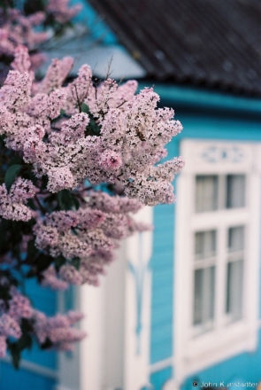 3.Lilacs, Panjamon' 2013, F1000031(2013148b-30