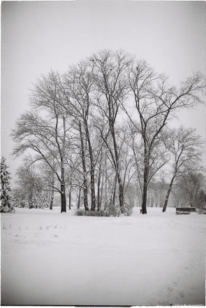 3.Mjensk in Winter 2016, 2016002b-26A