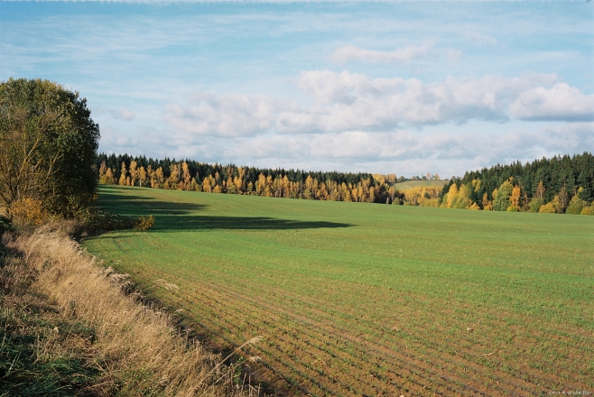 3.North of Stary Rakau 2017, 2017252-29A (000061