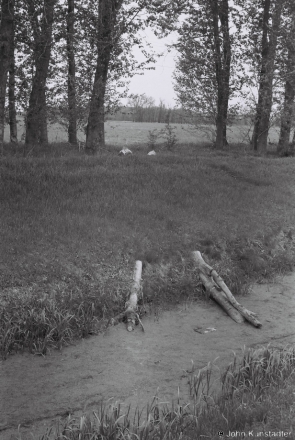 3.Nr. Sosny 2014, Beaver Work, 2014127-4A