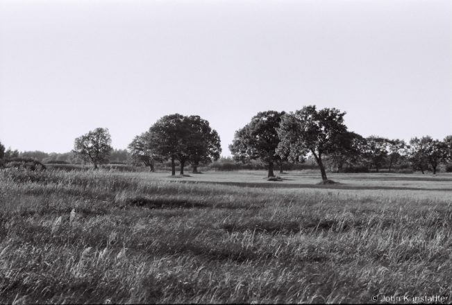 3.Oak Grove, Borki (Zhytkavichy District) 2018, 2018253b_25A