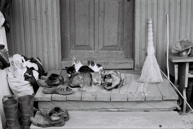 3.Portraits of Tsjerablichy, On the Stoop, Tsjerablichy 2015, 2015314-29A (F1040029