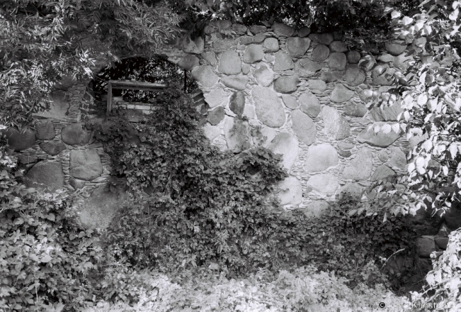 3.Remains-of-Boundary-Wall-Former-Estate-of-the-Shumski-and-Barouski-Families-Lukavjets-2018-2018207c_23A