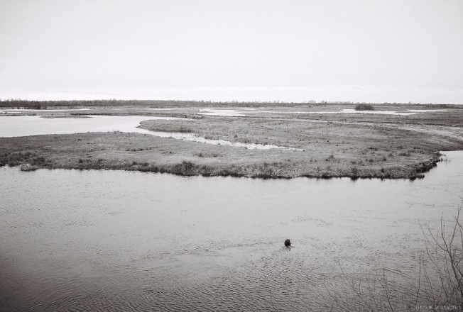 3.Rhythms and Rites of Approaching Spring, Beginning of Spring Flood on the River Moustva, Tsjerablichy 2016, 2016088a- (2) (000050