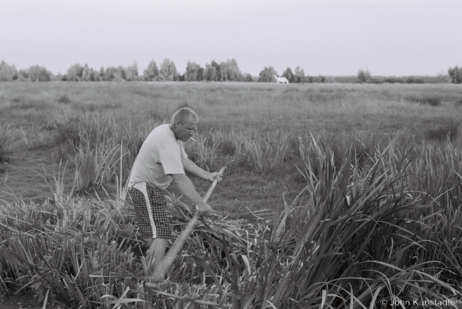 3.Scything Reeds for Trinity, Tsjerablichy 2016, 2016218- (F1070012