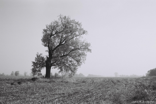 Indian Summer, Tsjerablichy-Machul' Road 2014, F1070024(2014374-