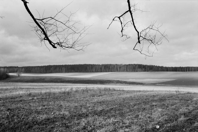 3.View-from-Grounds-of-Bahushevich-Museum-Kushljany-2008-2008007-30