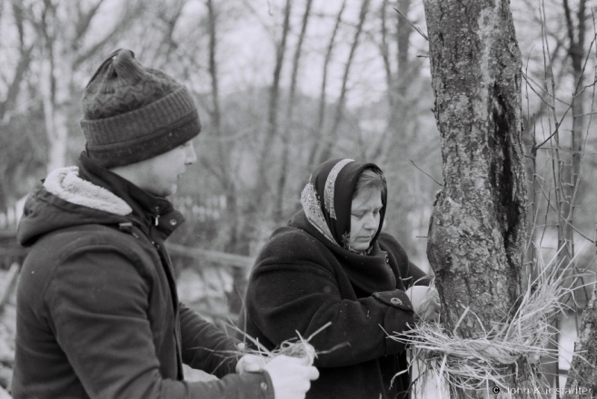 3.Wrapping Fruit Trees with Straw Rings, Tsjerablichy 2018, 2018002b- (F1040035