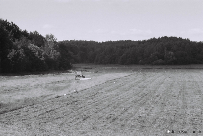 34.Storks-Feasting-During-First-Cutting-nr.-Milejkava-2016-2016237a-21A