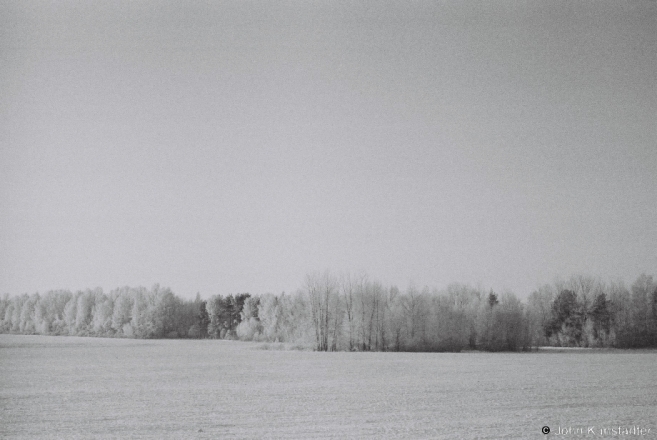 3a.Between Hanchary and Njatsjech 2014, 2013023с-31A