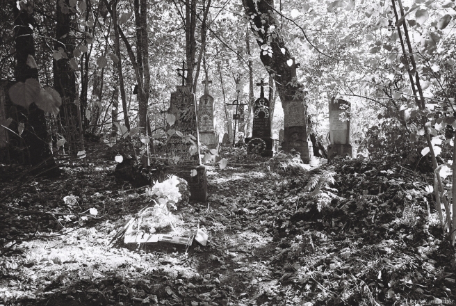3a.Cemetery, Vjalikija Kryvichy 2015, 2015300-1A(000003