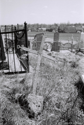 3a.Crosses of Belarus LXXXII, Zapol'lje Cemetery (Karelichy District) 2018, 2018084_28A