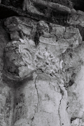 Photo Expedition to Chervjen' District, Ruins of R.C. Church of St. Anthony of Padua, Ravanichy 2015, F1000015(2015014a-