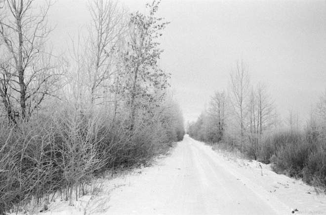 3a.Kalachy-Myshytsy Road 2016, 2016353-20A (65190020