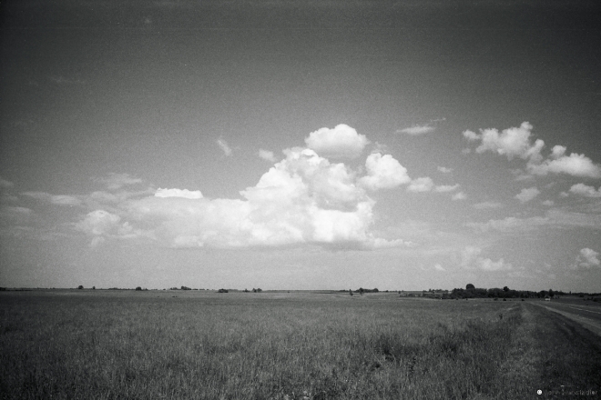 3a.Landscape-East-of-Aharevichy-toward-Shashki-Hantsavichy-Dist.-2014-2014177-14A
