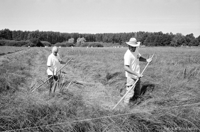 3a.Sporauski Scything Competition, Vysokaje 2016, 2016260-35A (00050035
