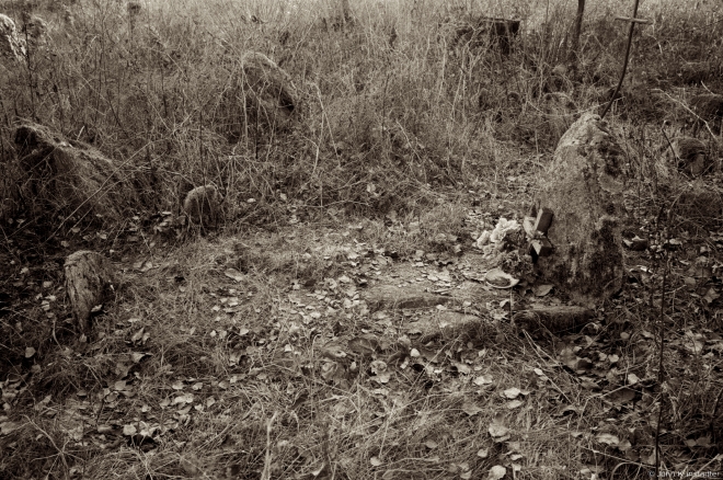 Tombstones, Babtsy Cemetery 2014, 3b.2014401-06(2)