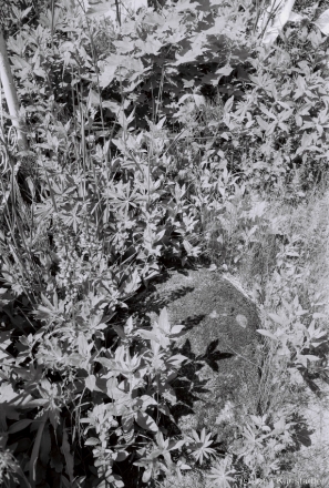 3b.Medieval Gravestone, Barutsishki Cemetery 2018, 2018120_09A