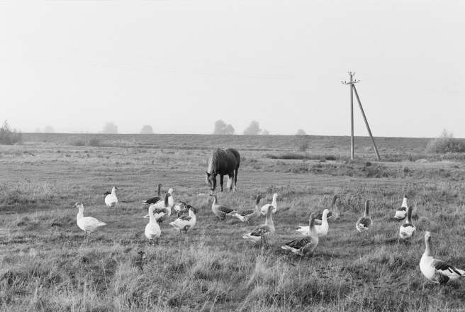 3b.Polesian-Autumn-Morning-Tsjerablichy-2019-2019243a-2A