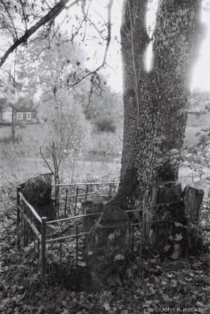 3c.Grave Grown Through with Trees, Church of the Assumption, Dubrava 2017, 2017253- (F1020035