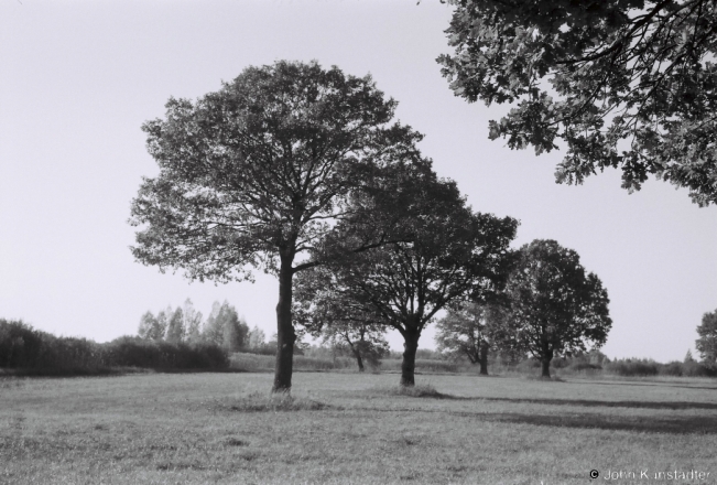 3c.Oak Grove, Borki (Zhytkavichy District) 2018, 2018270_00A